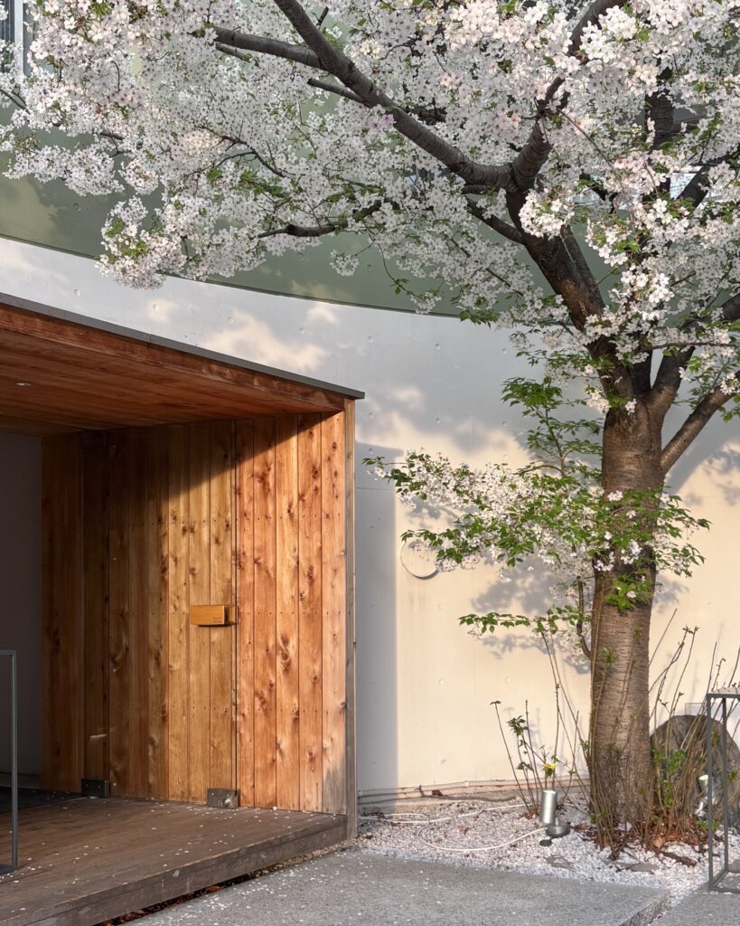 DOLCE TACUBOのジュエリーショップのようなスタイリッシュな外観の前に桜の木が