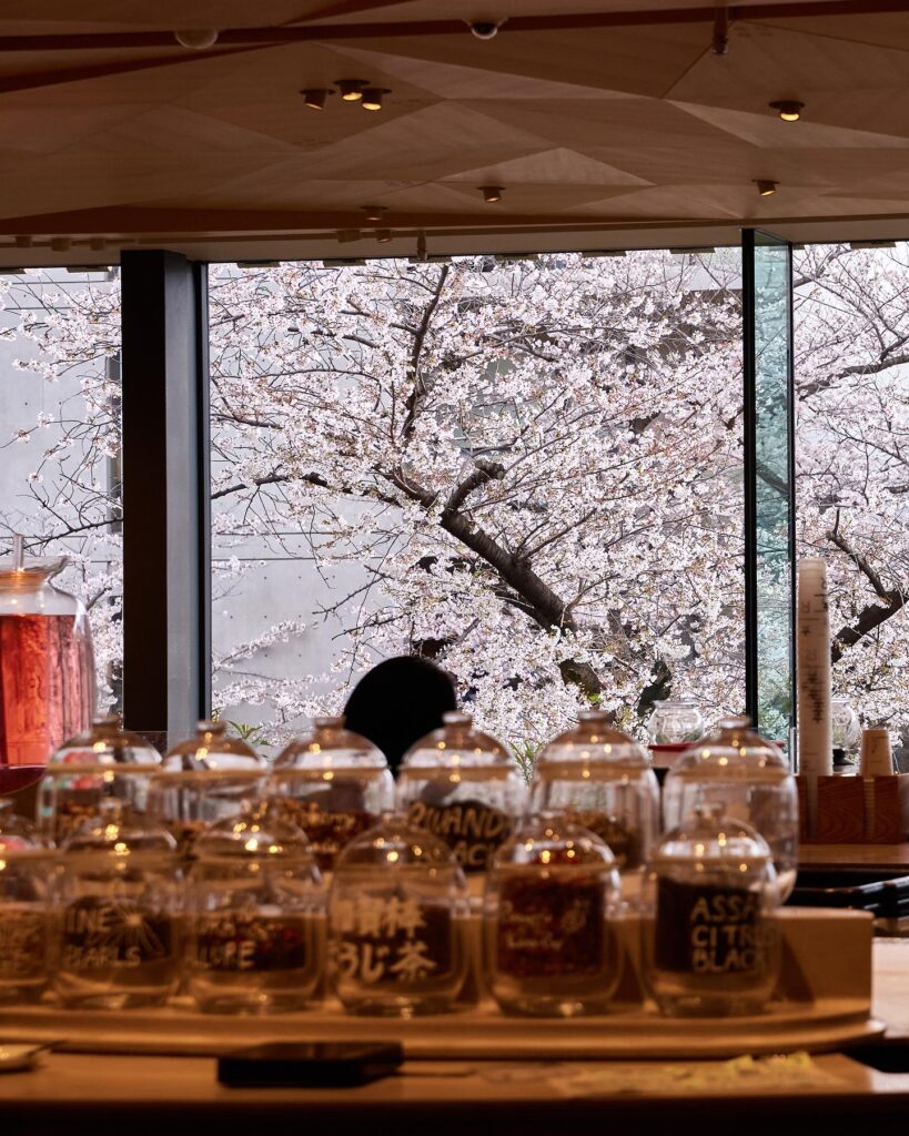 スターバックス リザーブ ロースタリー トウキョウから見える桜並木