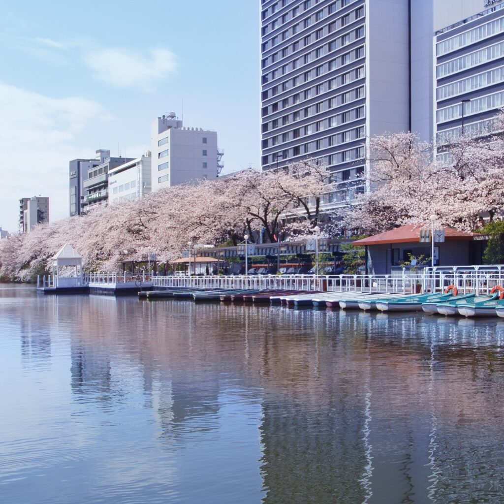 お濠に浮かぶ水上レストラン＆カフェCANAL CAFEから見渡す桜が絶景