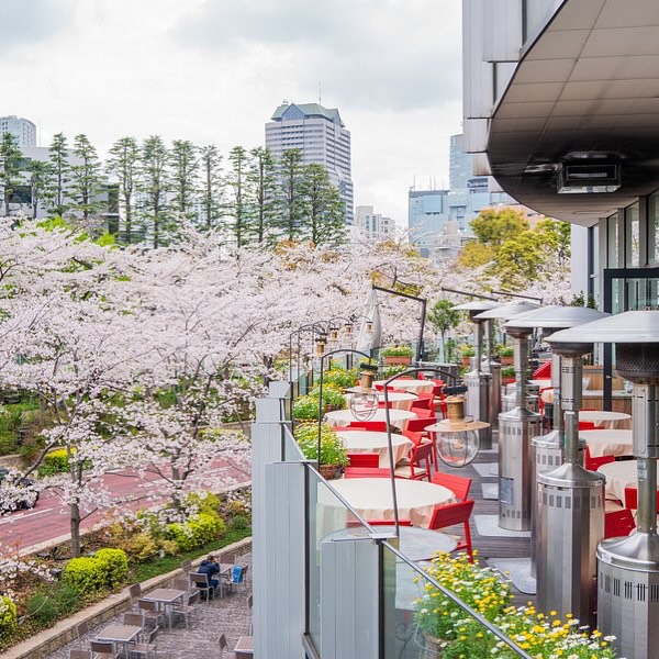 Napule（ナプレ東京ミッドタウン店）の桜が一望できるテラス席