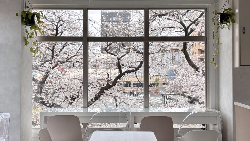 「GURIRIN CAFE 」から見える絶景な桜カフェ