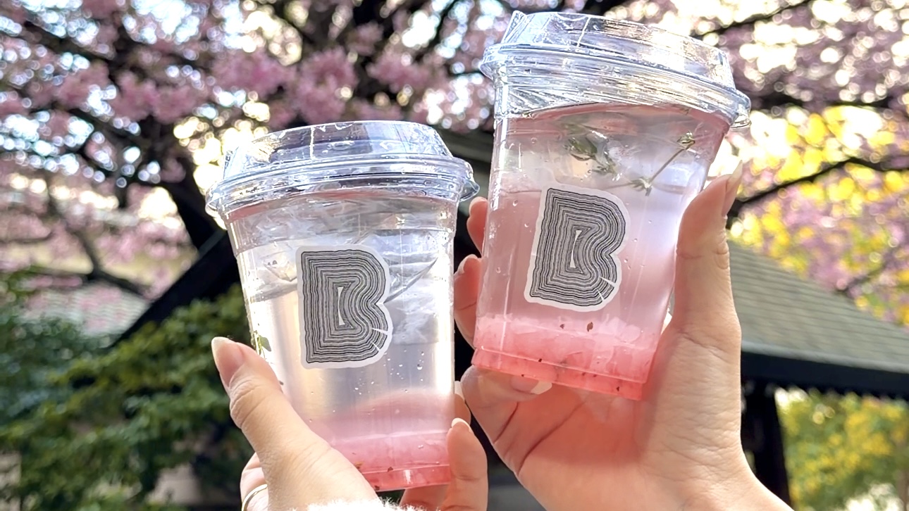 蔵前カフェBARK BAKE & ROASTの2階席から見える蔵前神社の桜